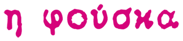 Η ΦΟΥΣΚΑ logo